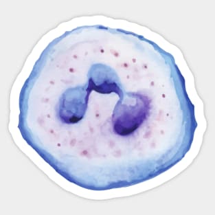 Neutrophil WBC white blood cell Sticker